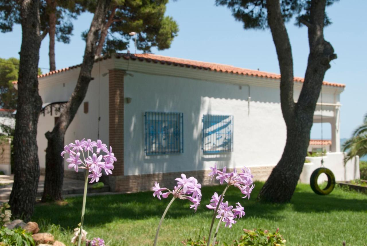 Sant Carlos de la RàpitaSargantana Blava别墅 外观 照片